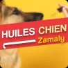CBD pour chien