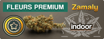 Fleurs indoor cbd premium