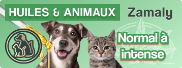 Huile cbd animaux