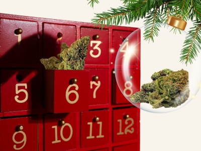 CBD Advent Calendar